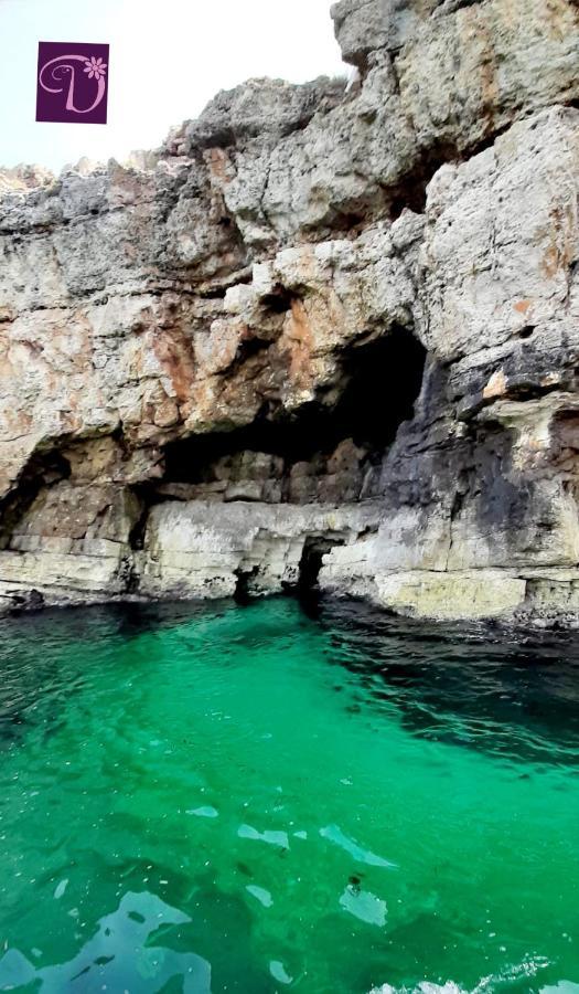 Donatella Bed And Breakfast Polignano a Mare Eksteriør bilde